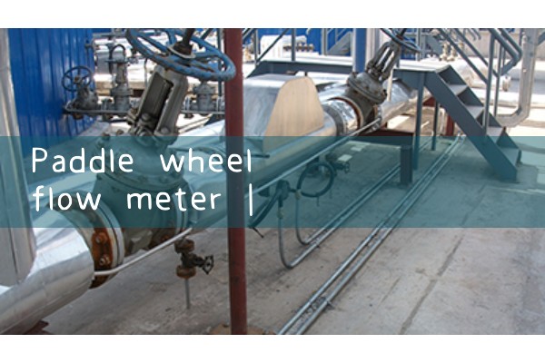 paddle wheel flow meter|magnetic flow meter